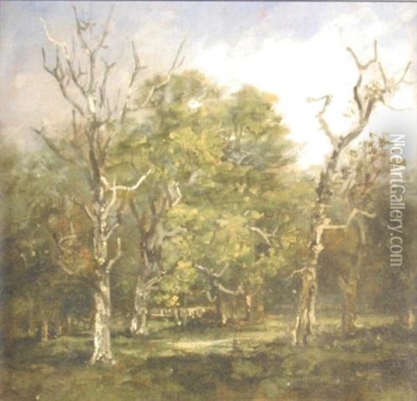 Study Of Trees In The Park At Campsey Ash Oil Painting - Thomas Churchyard