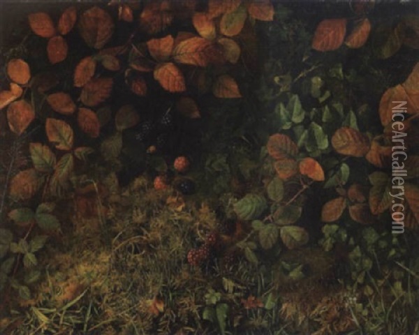 A Still Life Of Blackberries And Ivy On A Mossy Bank Oil Painting - William Hough