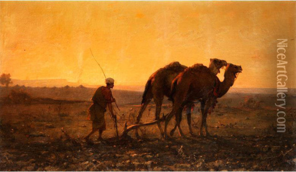 Pflugender Araber Mit Dromedaren In Abendlicher Landschaft Oil Painting - Gustave Achille Guillaumet