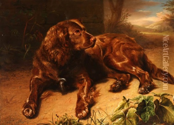 Spaniel Resting In A Forest Oil Painting - Jeremiah P. Hardy