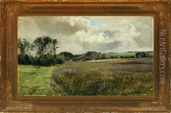 Moor Landscape, Fulden By Aarhus Oil Painting - Janus la Cour