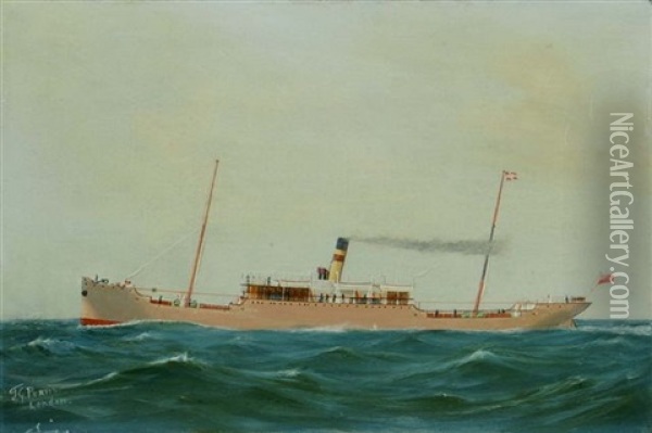The Steamer Mexican Prince, The Steamer Umvotia (+ 2 Others, 3 Works) Oil Painting - T.G. Purvis