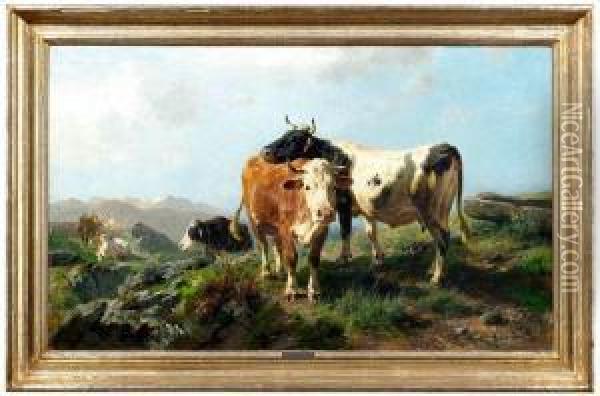 Rinder Im Hochgebirge Oil Painting - Anton Braith