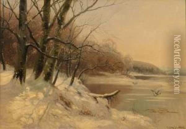 Winterly Lake Landscape With Flying Wild Ducks Oil Painting - Carl Fey