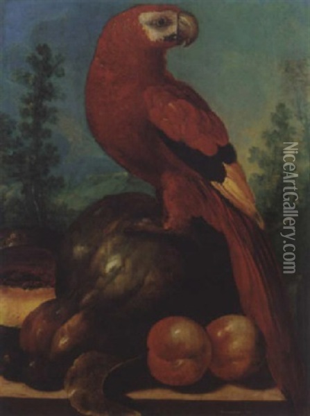 Still Life Of A Macaw Together With Melons, Peaches, And Plums Upon A Stone Ledge Oil Painting - Roelandt Savery