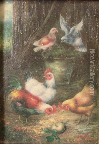 Pigeons And Domestic Fowl In A Farmyard Oil Painting - L. Hunt