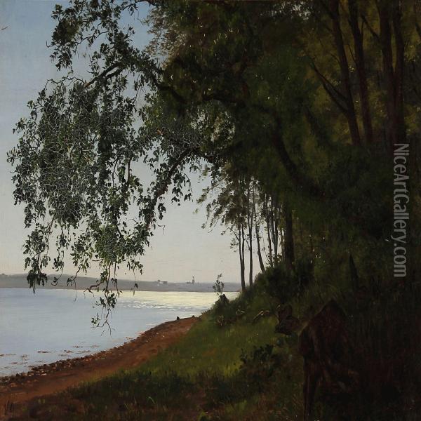 Parti Fra Kongebroskoven Ved Middelfart Oil Painting - Vilhelm Georg Groth