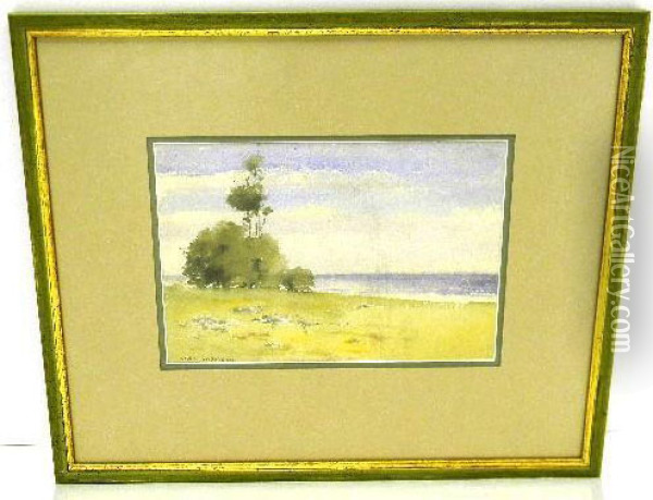 Lakeside Landscapes With Trees Oil Painting - William S. Robinson