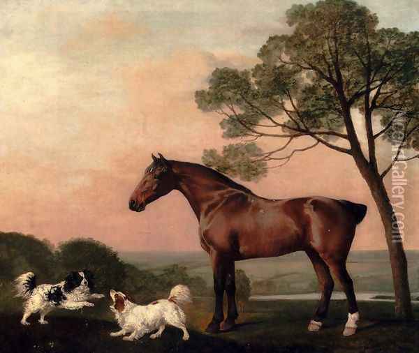 A Bay Hunter With Two Spaniels Oil Painting - George Stubbs