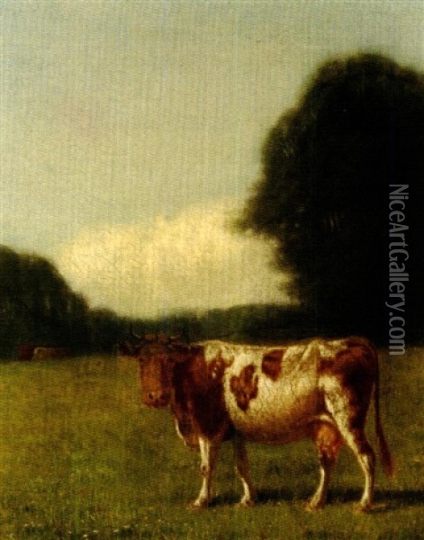 Cow In A Summer Pasture Oil Painting - Clinton Loveridge