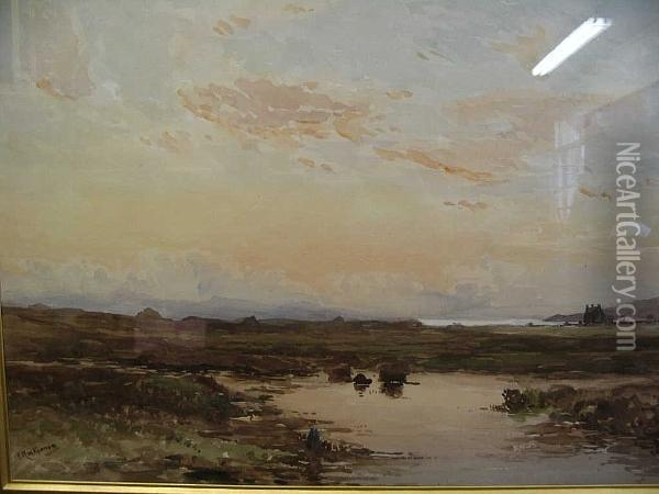 A Moorland View With Distant Mountains Oil Painting - Finlay Mackinnon