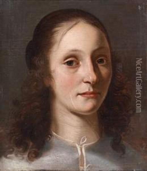 Portrait Of A Young Lady Oil Painting - Jan De Bray