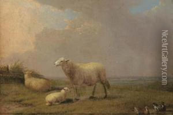 Sheep And Ducks In A Field Oil Painting - Francois Vandeverdonck