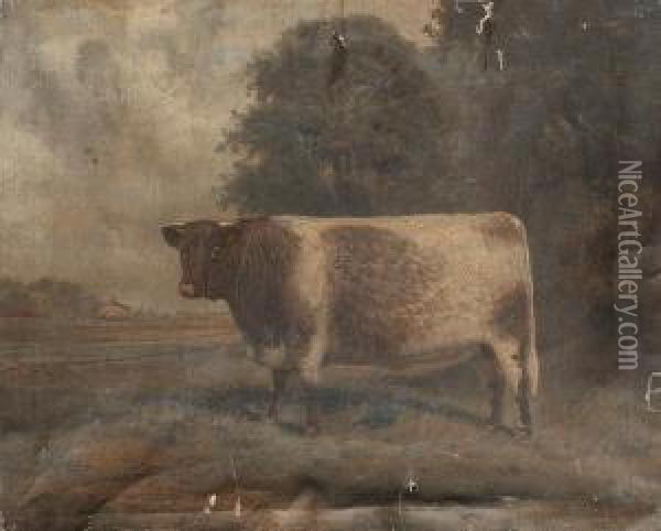 A Shorthorn Bull Standing Before A Farm Oil Painting - A. Clark