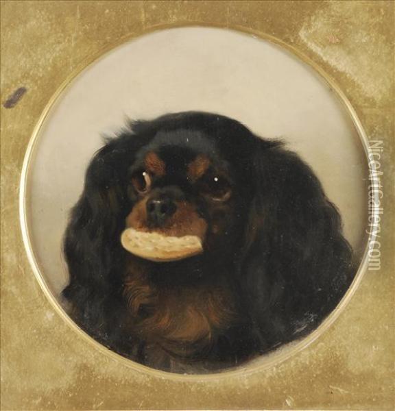 A Spaniel With A Biscuit Oil Painting - George W. Horlor