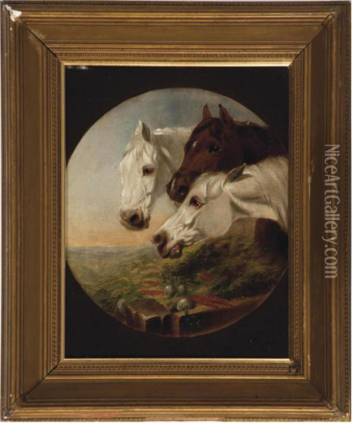 A Brown And Two Grey Horses At A Manger Oil Painting - John Frederick Herring Snr