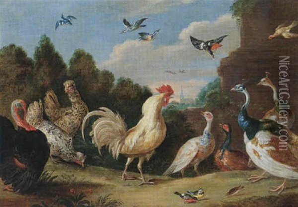 A Turkey, A Cockerel, Hens, A Peacock And Other Birds, In A Landscape Oil Painting - Jan van Kessel the Elder