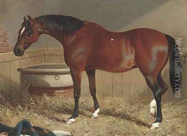 A light brown racehorse in a stable Oil Painting - John Frederick Snr Herring