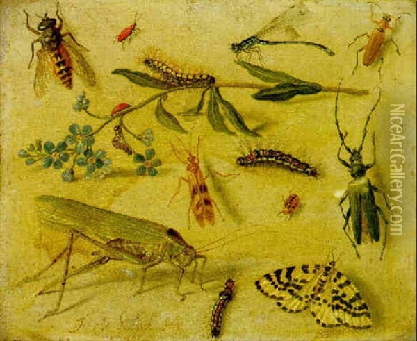 A Grasshopper, A Dragonfly, Caterpillars, Insects And A Forget-me-not Oil Painting - Jan van Kessel the Elder
