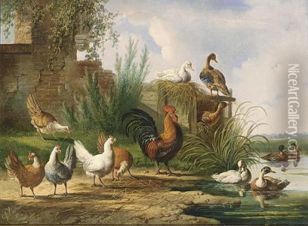 Poultry By A Pond Oil Painting - Albertus Verhoesen