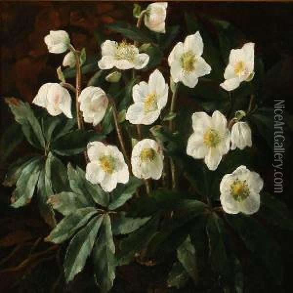White Christmas Roses Oil Painting - Otto Didrik Ottesen