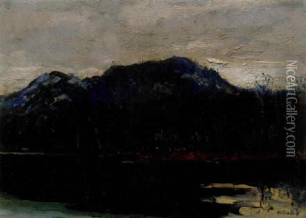 The Palisades From The Cache River Oil Painting - Maurice Galbraith Cullen