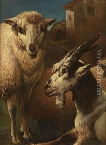 Un Mouton Et Une Chevre Oil Painting - Gaetano De Rosa