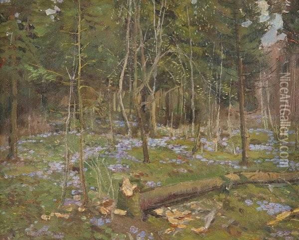 Forest In The Springtime Oil Painting - Stanislaw Zukowski