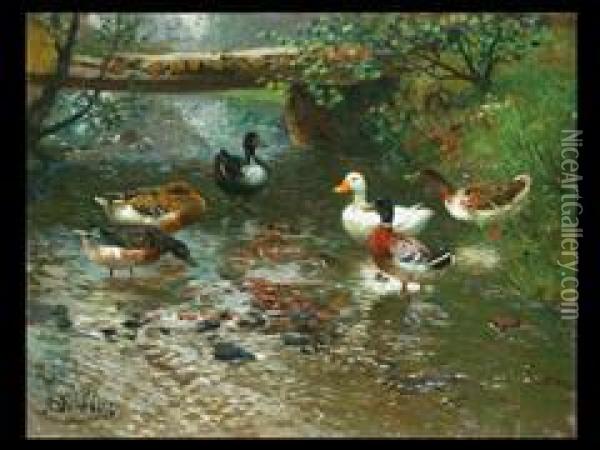 Enten Am Bach Oil Painting - Adolf Lins