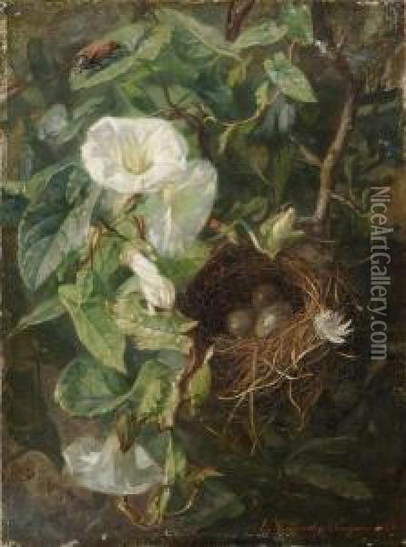 Nid D'oiseau Dans Des Liserons Oil Painting - Elise Puyroche-Wagner