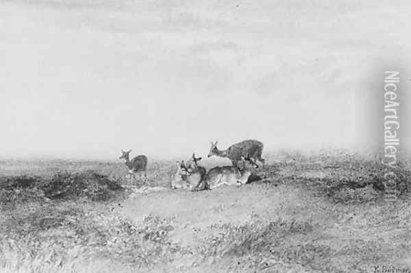 Deer in a Landscape Oil Painting - Karl Bodmer