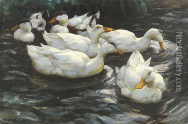 Sechs Enten Im Wasser Oil Painting - Alexander Max Koester