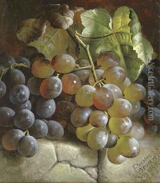 Grapes on a stone step Oil Painting - Charles Stuart