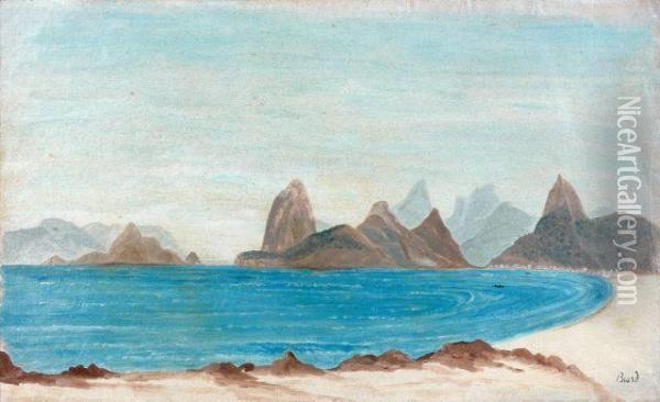 La Baie De Rio De Janeiro Oil Painting - Francois-Auguste Biard