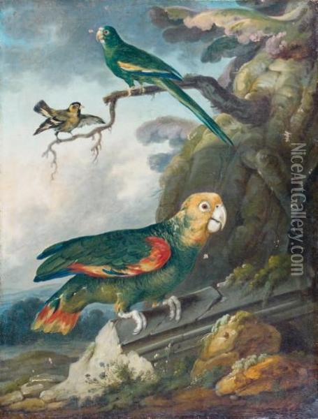Perroquet Et Oiseaux Oil Painting - Jean Jacques Bachelier