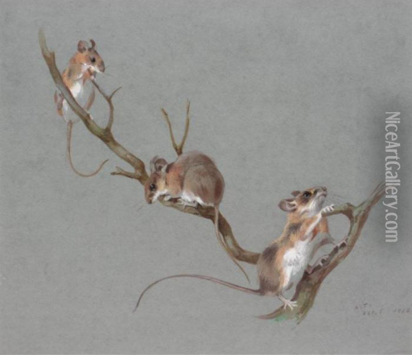 Three Field Mice Oil Painting - Archibald Thorburn