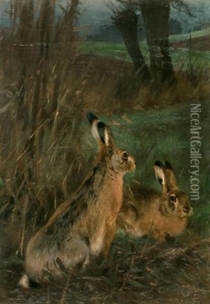 Zwei Hasen Oil Painting - Wilhelm Kuhnert