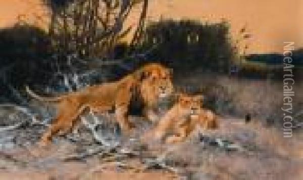 Title: Two Lions Oil Painting - Wilhelm Kuhnert