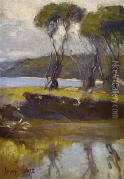 Coastal View, Mornington Oil Painting - Leslie Andrew Wilkie