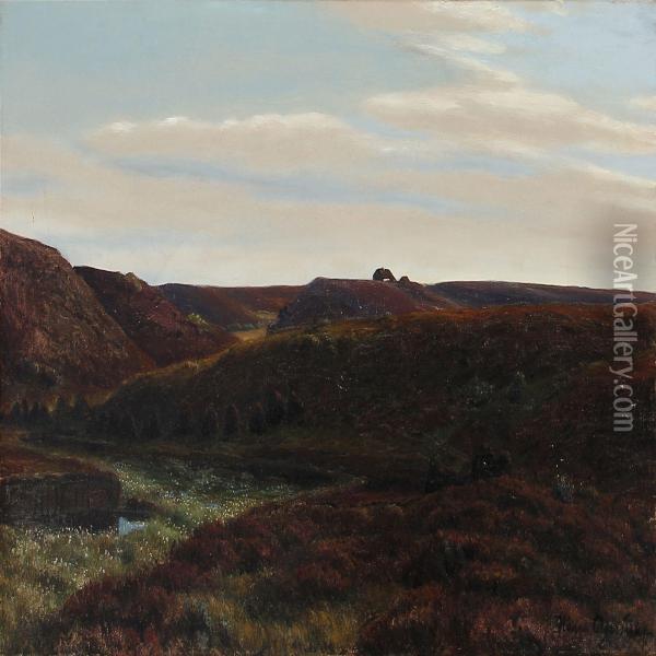 Moor Landscape Oil Painting - Hans Agersnap