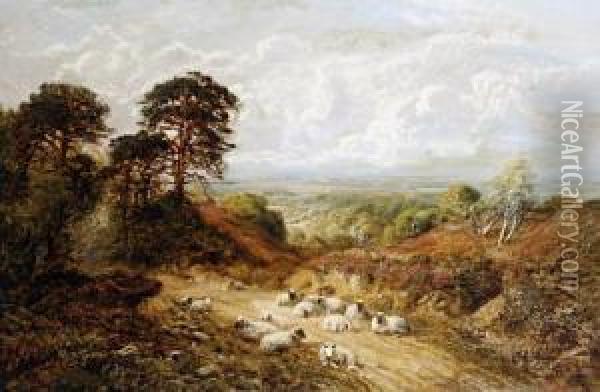 Landscape With Sheep Oil Painting - George William Mote