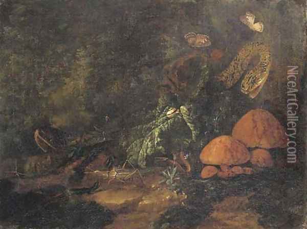 A forest floor still life with snakes, butterflies, snails, a grasshopper and a lizard Oil Painting - Carl Wilhelm de Hamilton