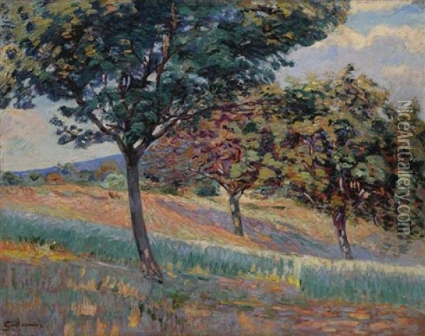 Verger A La Lisiere D'un Bois A Saint-cheron, 1893 Oil Painting - Armand Guillaumin