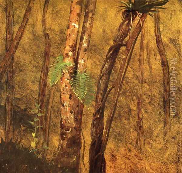 Plant Study, Jamaica, West Indies Oil Painting - Frederic Edwin Church