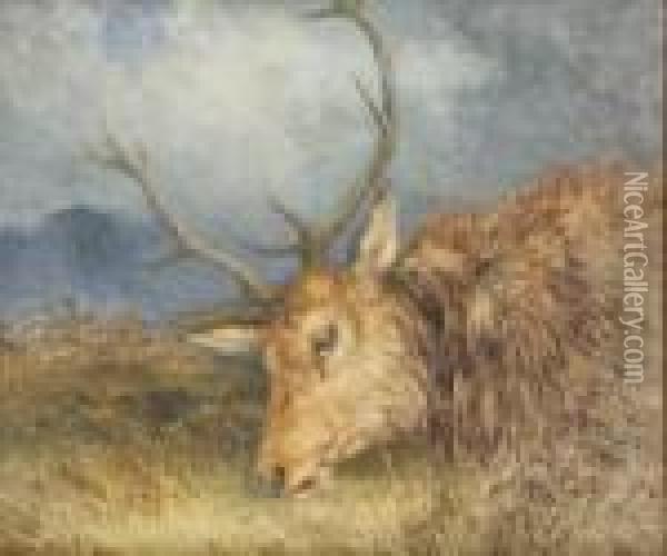 Fallen Deer Oil Painting - Alfred Grey