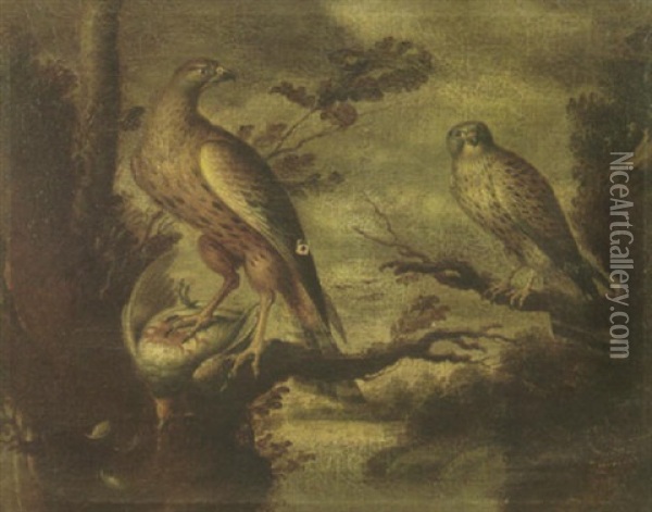 Two Falcons With Their Prey, Perched On Branches Oil Painting - Francis Barlow