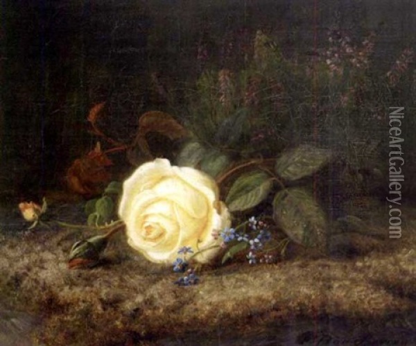 Stilleben Med Rose Oil Painting - Frants Diderik Boe