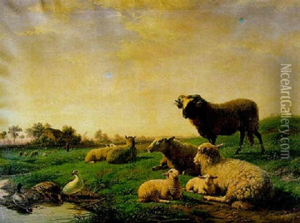 Sheep Resting In A Sunlit Landscape With Ducks By A Stream Oil Painting - Frans Lebret