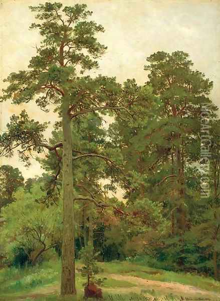 Pine trees, Merekiul' Oil Painting - Ivan Shishkin