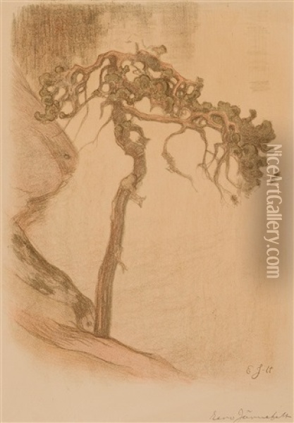 Gnarled Pine, Halosenniemi (1910) Oil Painting - Eero Jaernefelt